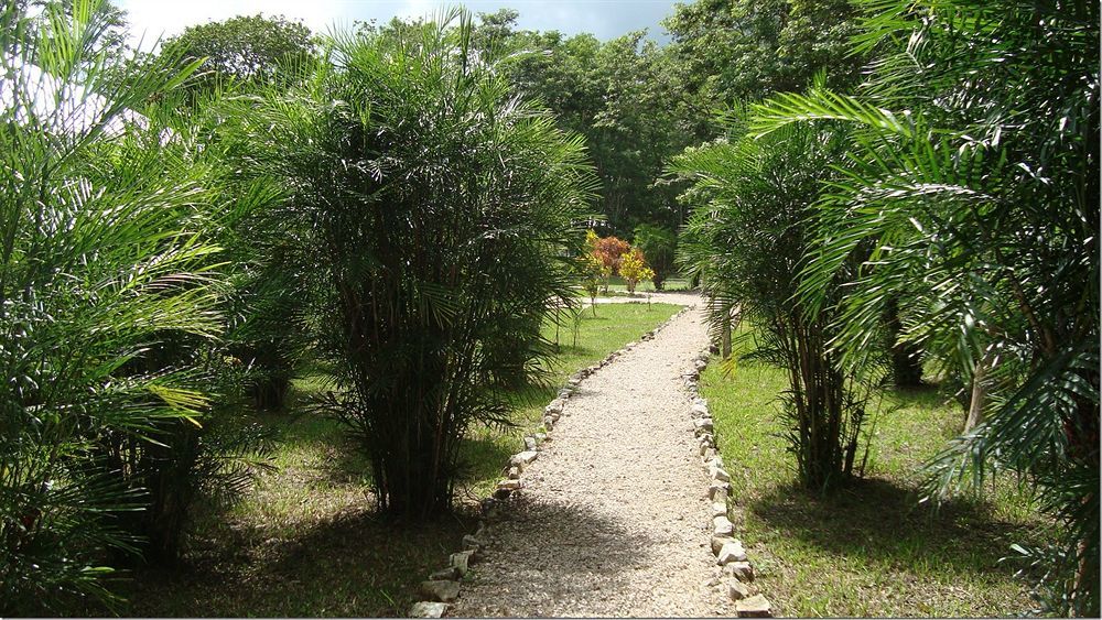 Maya Zac Peten Jungle Lodge El Remate Zewnętrze zdjęcie