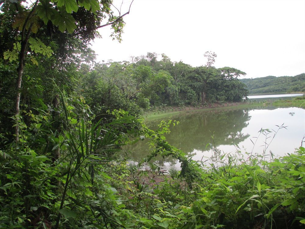 Maya Zac Peten Jungle Lodge El Remate Zewnętrze zdjęcie